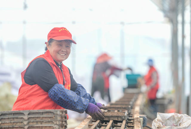 湖南道县：早稻机械育秧忙