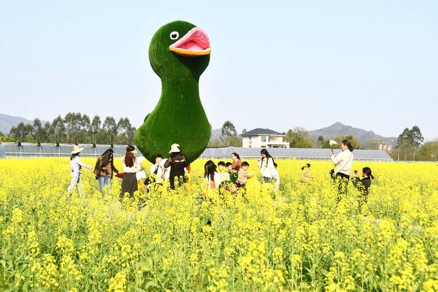  春光明媚赏花时