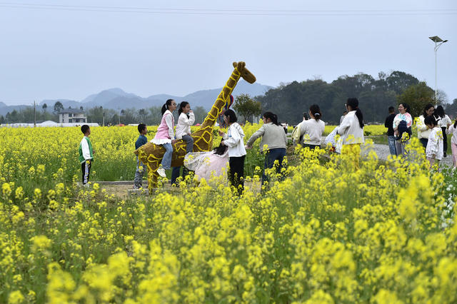 江永县  花经济 旅游 乡村振兴
