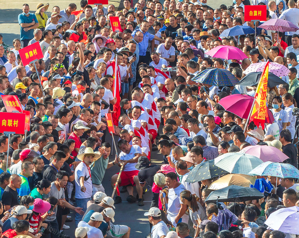 新田村 千人拔河 乡村振兴示范村 丰收节 拔河比赛