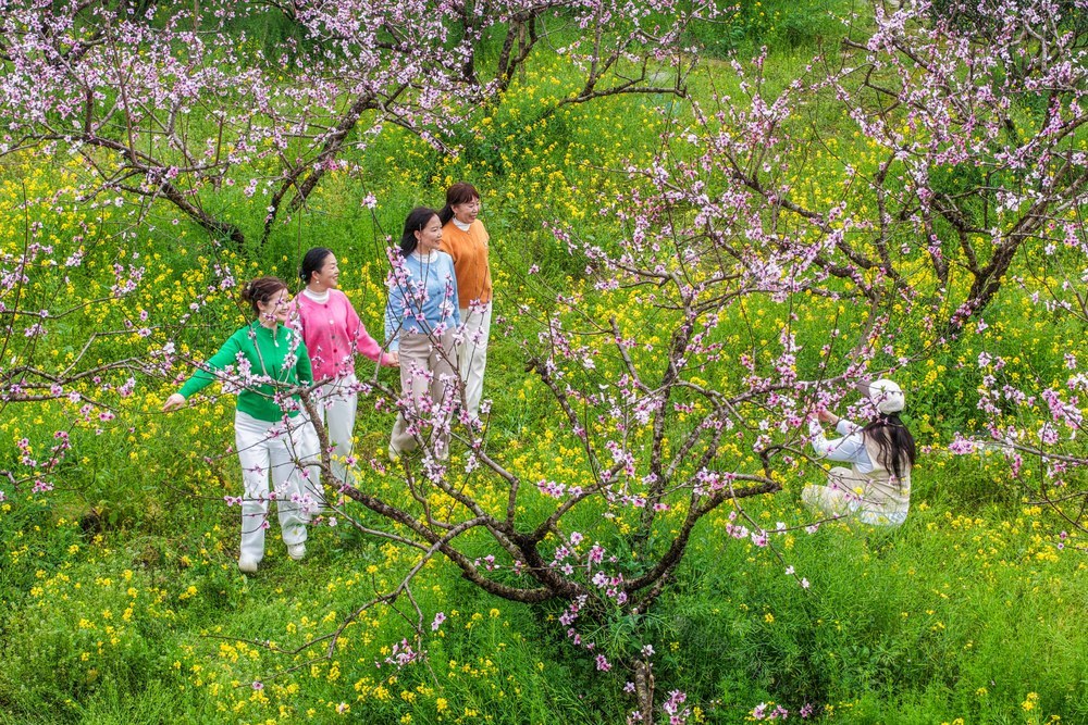 湖南道县：踏青赏花享春光