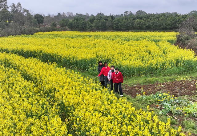 女土囗游玩囗赏花