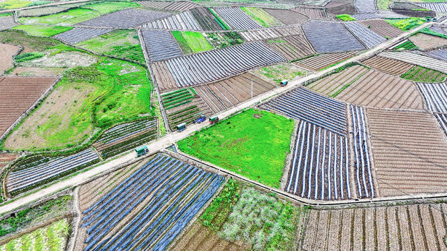 春日  多彩  田园  画卷