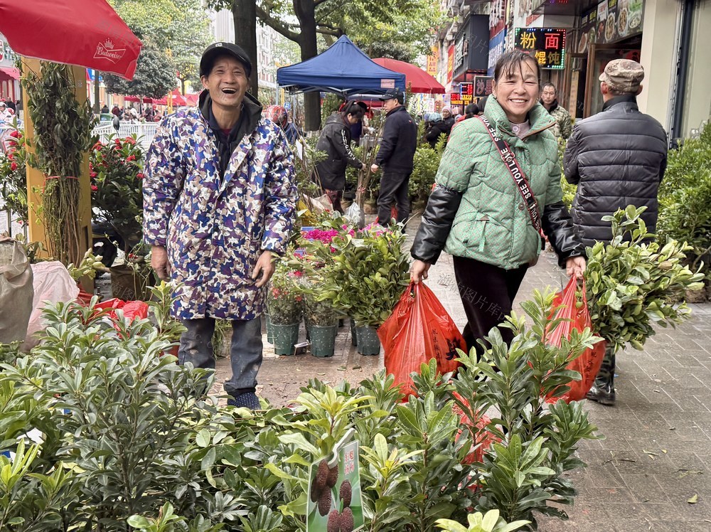 通道：苗木俏销
