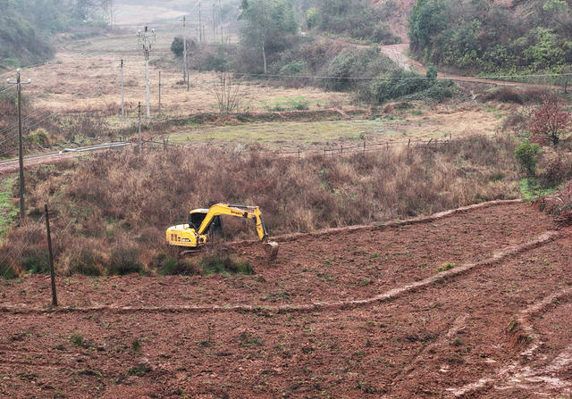 抛荒 耕地 复耕 复垦 春耕
