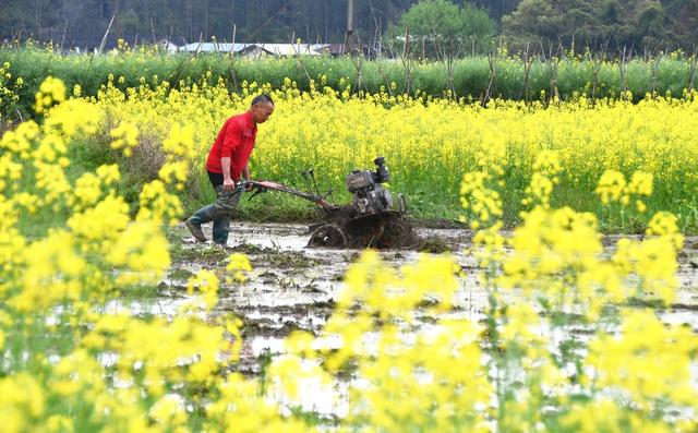  春分到 农事忙