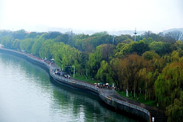 橘子洲景区，春意盎然