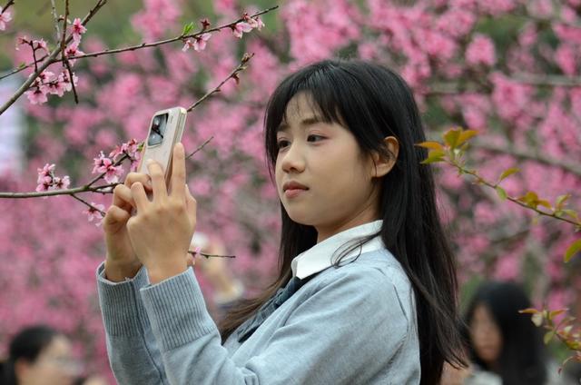 春天 桃花  东江湖  文旅