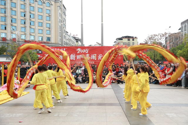 新田 龙腾 狮跃 闹 元宵
