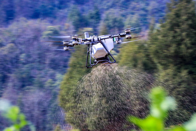 湖南，龙山，节气，惊蛰，农事，春季，田间管理，农忙
