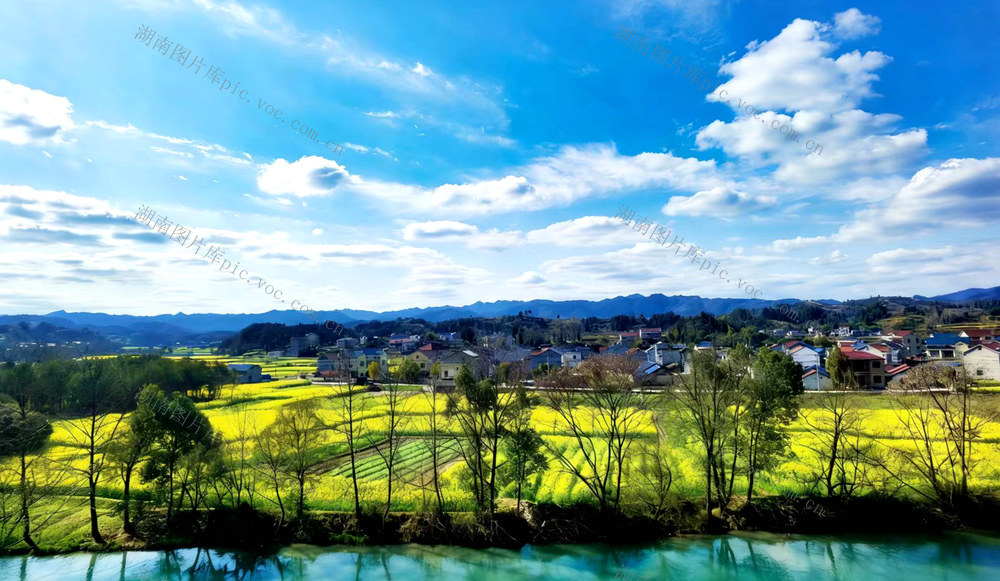 春暖花开景如画