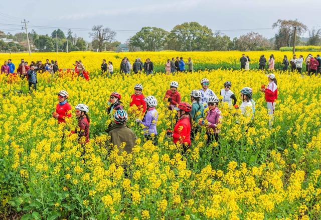 湖南道县：油菜花开引客来