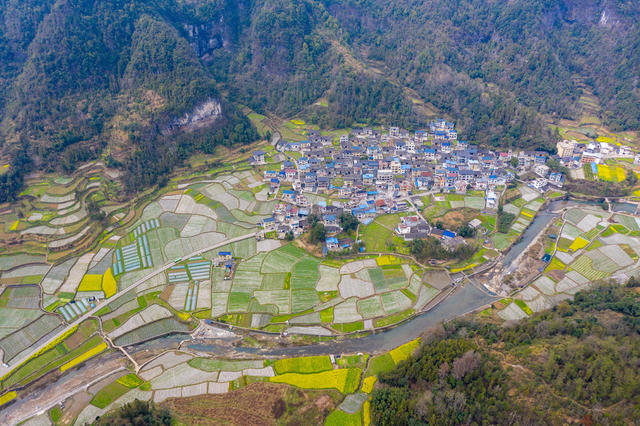 春天   油菜花  田园   湘西  