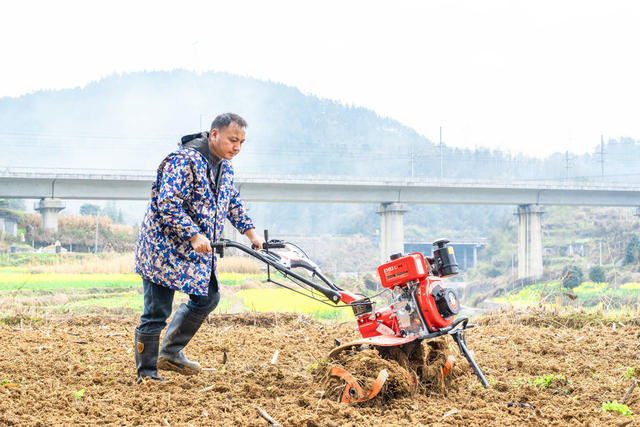 惊蛰时节   进入春耕忙碌季