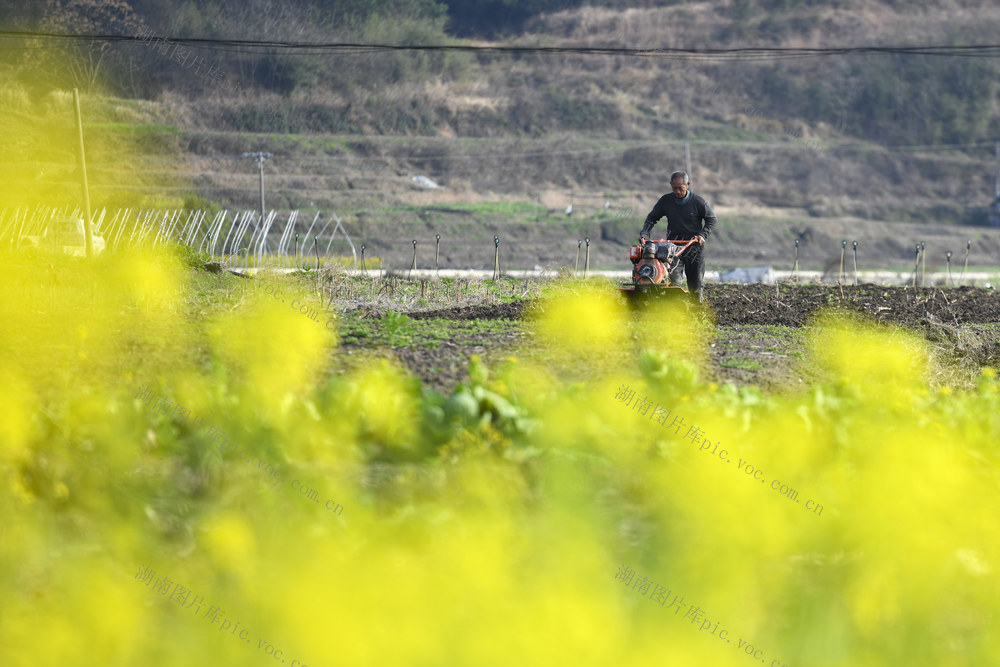 娄底 惊蛰  农事 农民