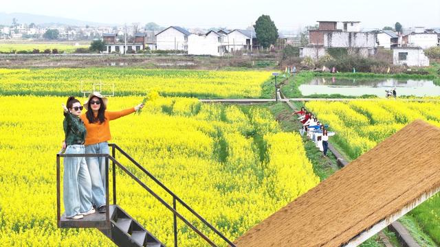 湖南  郴州  苏仙区   栖凤渡 
 村头村   油菜花  开幕 