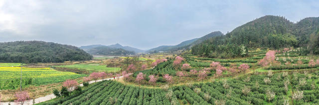 春色  旅游  乡村振兴  美丽乡村   农旅