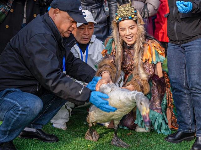 跟着大雁去迁徙