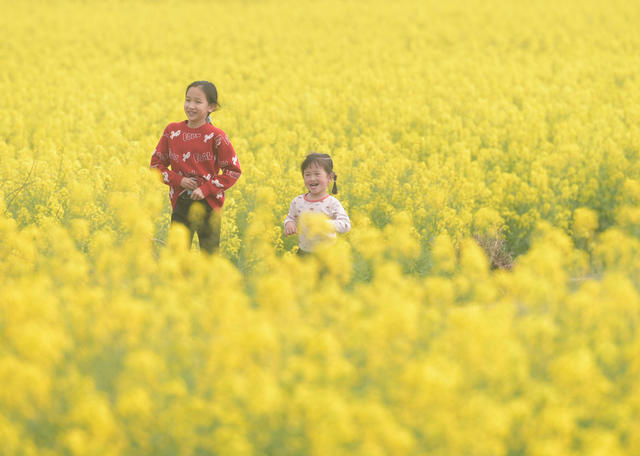 湖南道县：踏青赏花 乐享周末