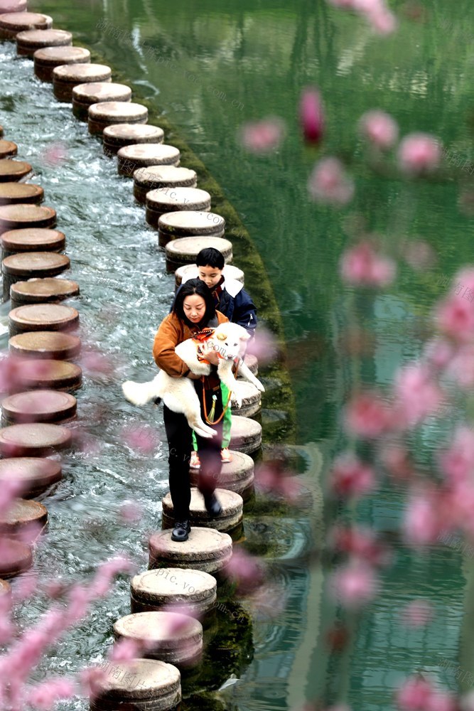 湘西 高新区  市民  万溶江  跳岩 春暖花开 赏花 踏春