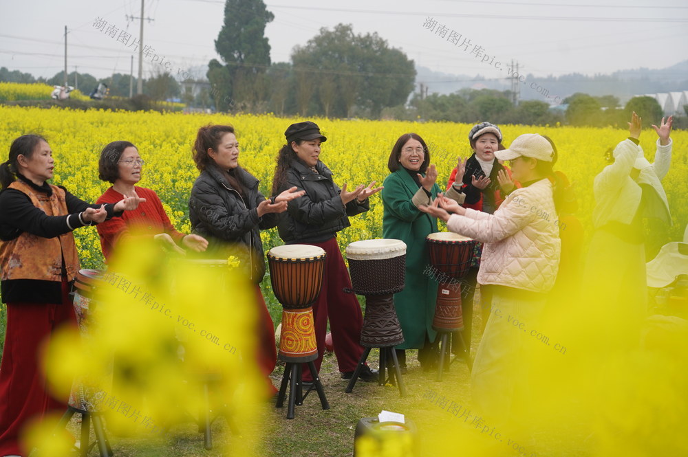 户外课堂乐老人（图）

3月7日，湖南省隆回县爱晚老年大学学员在三阁司镇沙坪村油菜基地练手鼓、跳舞。近年来，该县爱晚老年大学先后开设声乐、舞蹈、二胡、书法、象棋等多门课程，聘请专业老师任教，定期开展文艺展演、户外活动，老年大学成为广大老年朋友的快乐大本营。