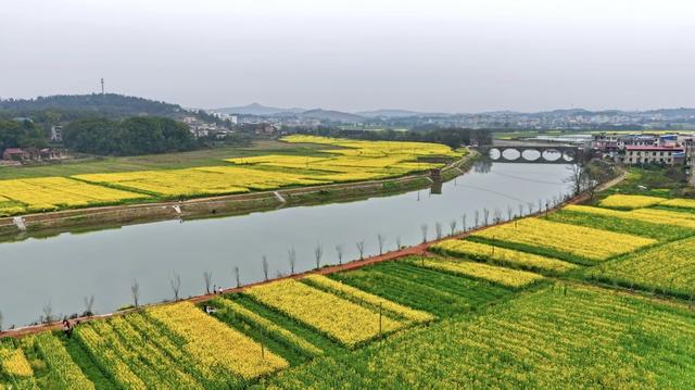 常宁  宜水两岸  油菜花  美景