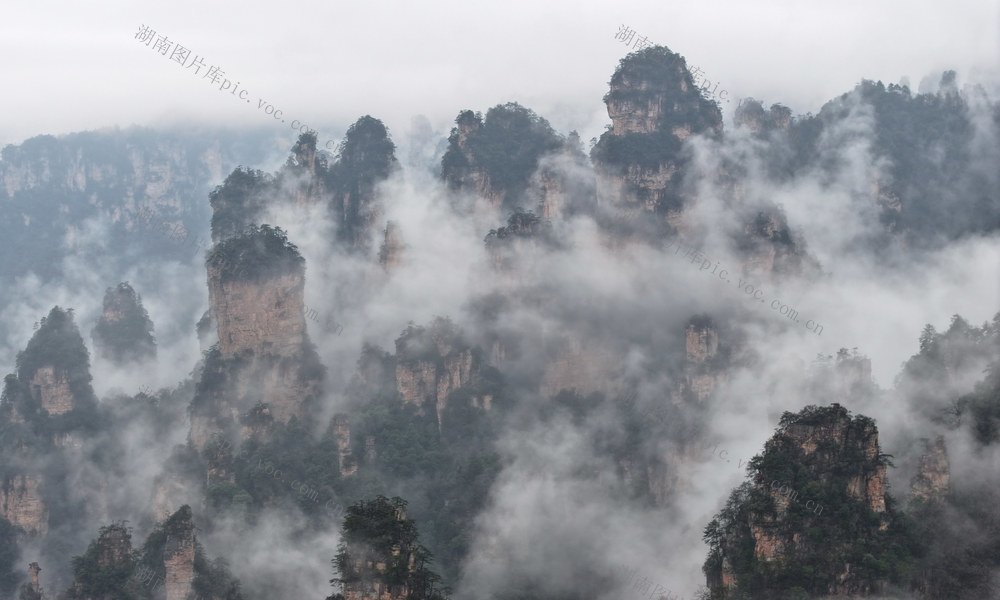 张家界 云海 春天