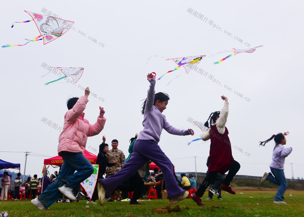 嘉禾：放风筝 享春光