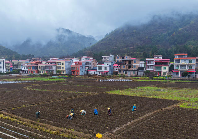 蓝山：春雨润春耕 田间农事忙