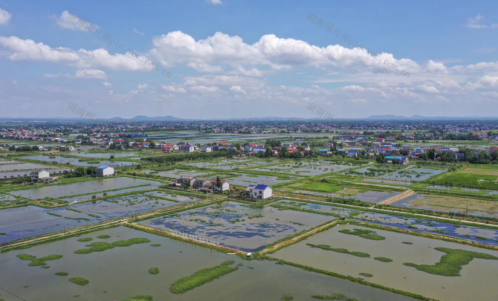 脱贫；小龙虾；荷花虾；美丽乡村；乔口镇；乡村旅游；