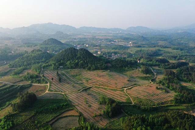 山谷 田地 户外