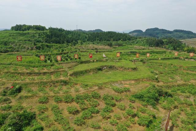 山谷 田地 户外