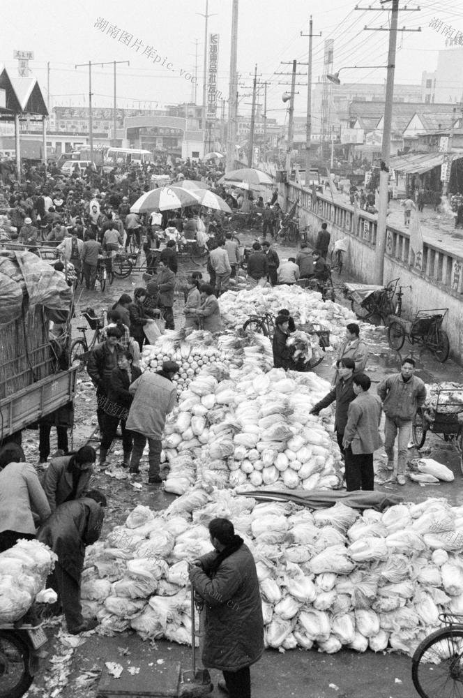  Changsha Mawangdui Vegetable Wholesale