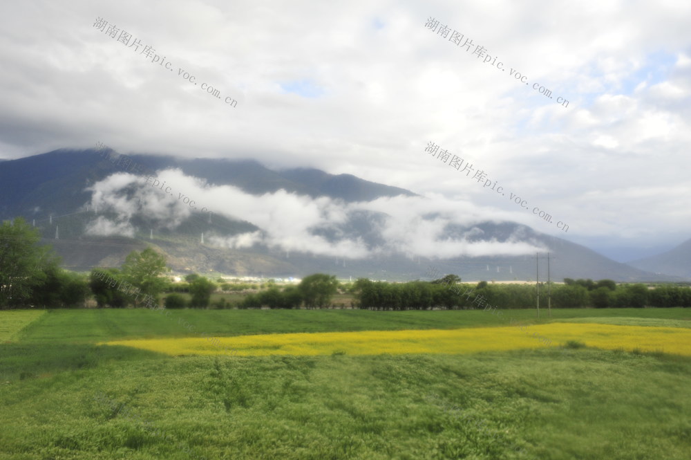 活动房屋 油菜花田 田地 草地 户外 火山 雪山 帐篷 庭院 露营