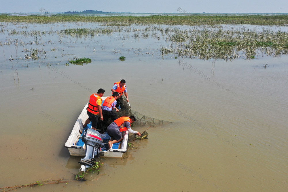 地龙网  洞庭湖区  沅江  “清湖”  非法捕捞