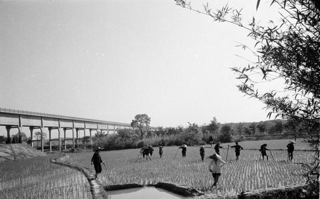 民工  渠道   修渠  隧洞  渡槽   通水   灌区