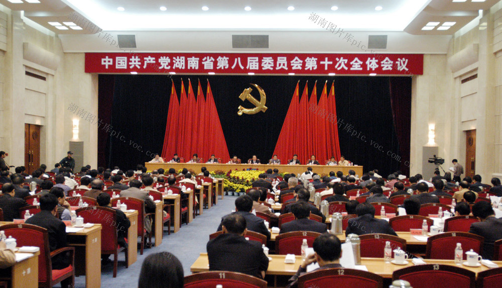 中国共产党  湖南省第八届委员会  第十次全体会议  长沙