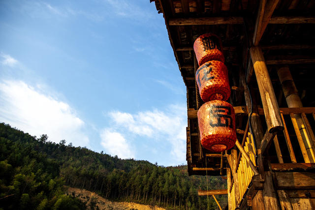 湖 小河 树林 楼梯 室内 餐厅 独木舟