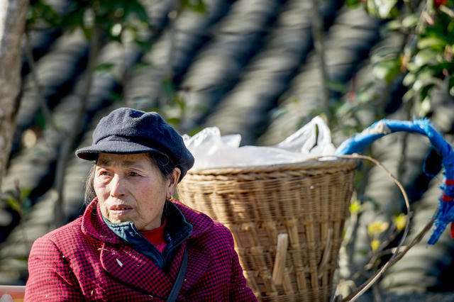 老人 篮子 水桶