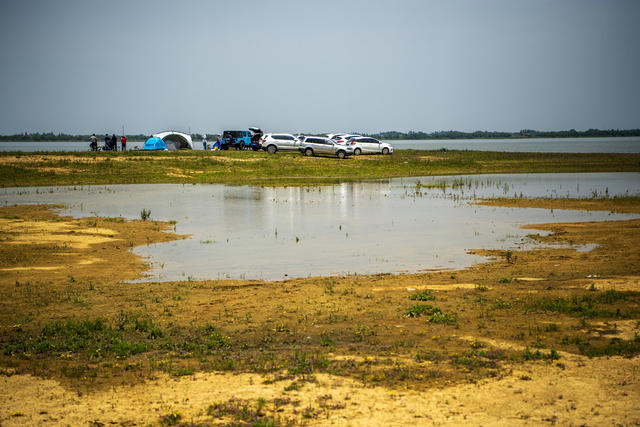 草地 天空 户外 湖 植物 沙滩