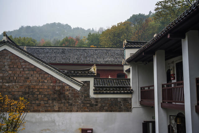 室外 室内 建筑 瓦屋顶 拱顶