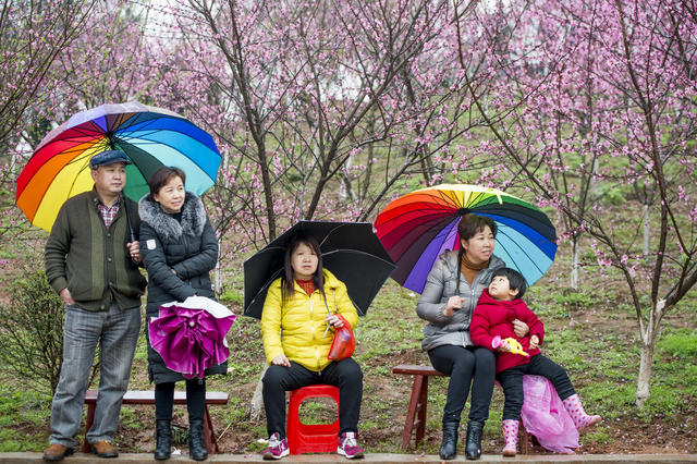 雨伞 美女 花 小河 户外