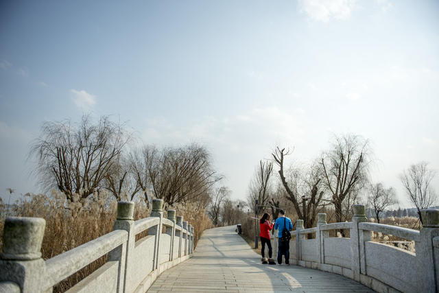 草地 植物 栅栏 防波堤 户外 天空 田地 干草 吊桥