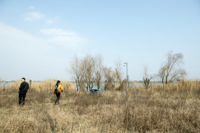 草地 植物 栅栏 防波堤 户外 天空 田地 干草 吊桥
