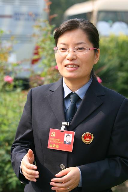 十七大  代表  王东晖