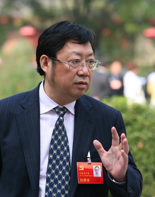 十七大  代表  李效伟