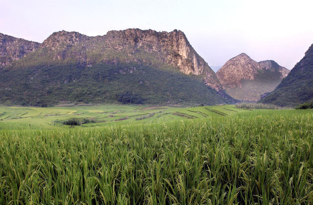 谷仓 户外 田地 天空 植物 草地 茅草屋 门垫