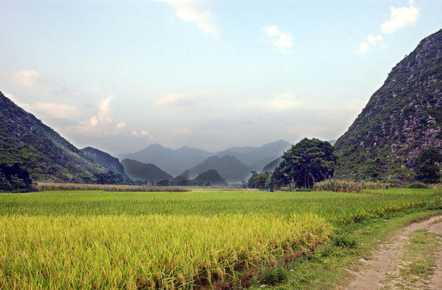 谷仓 户外 田地 天空 植物 草地 茅草屋 门垫