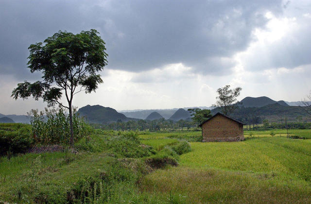 谷仓 户外 田地 天空 植物 草地 茅草屋 门垫