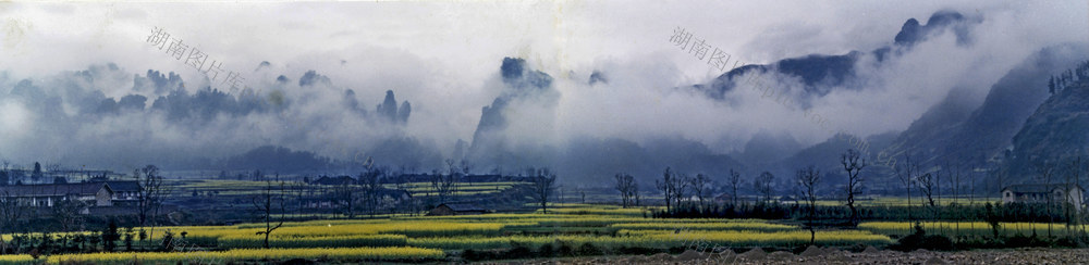 迷雾 山峰 田地